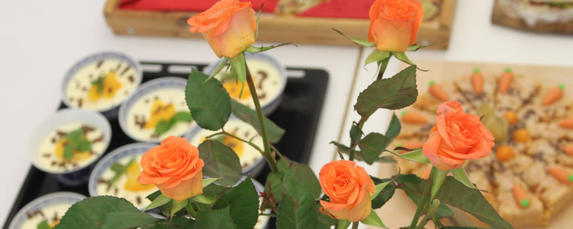 Malevents-11 Malevents-11